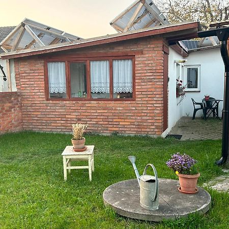 Guesthouse Trncin Mlada Boleslav Bagian luar foto